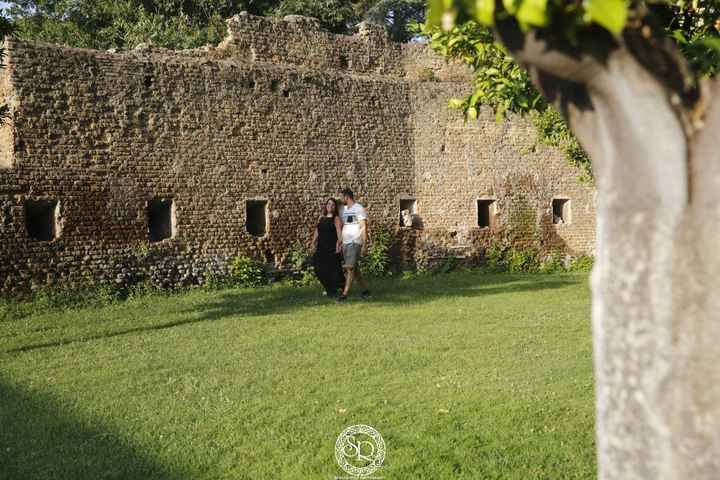 Giardino degli aranci 2