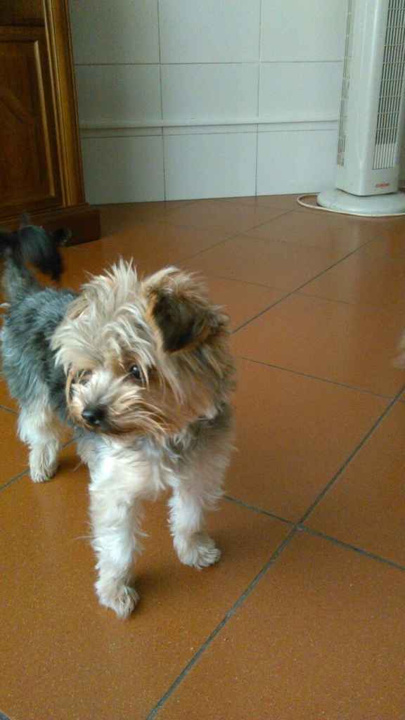 Se non ci fossero loro... - 3