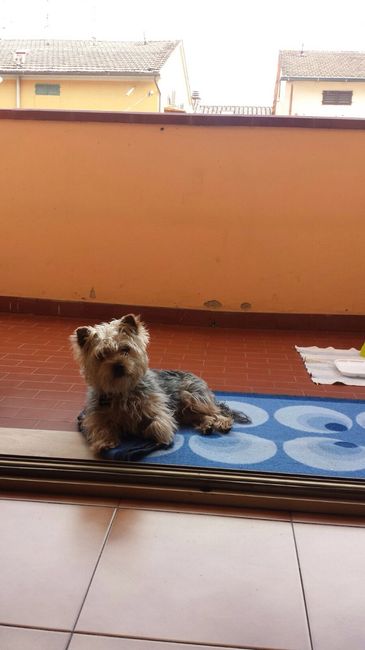 Se non ci fossero loro... - 2