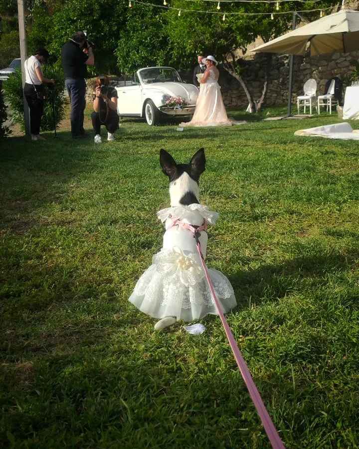 04/06/2022 il nostro grande giorno - 5