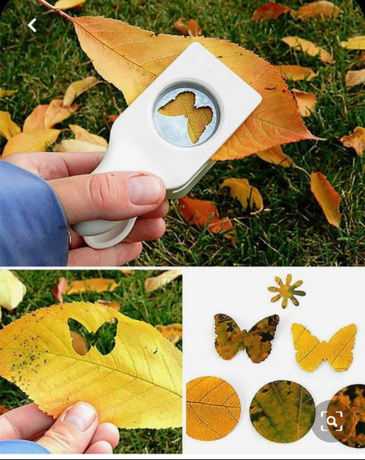 Riso, coriandoli o petali 6