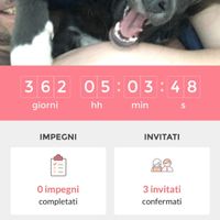 Il countdown di matrimonio.com: quanti giorni mancano? - 1