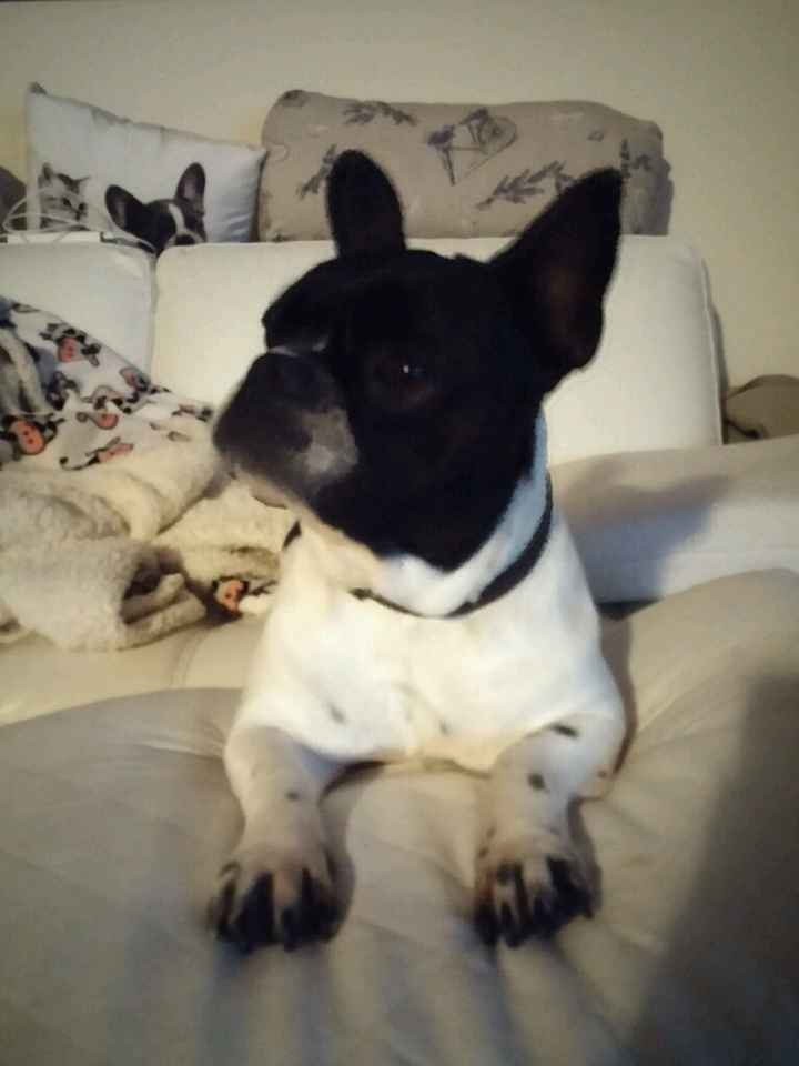 Coppie futuri sposini 2016 - 2