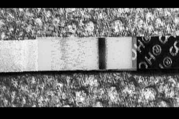 Chi non le aspetta per Maggio 2020 - 2