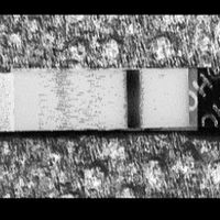 Chi non le aspetta per Maggio 2020 - 2