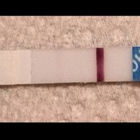 Chi non le aspetta per Maggio 2020 - 3