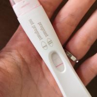 Chi non le aspetta per Maggio 2020 - 1