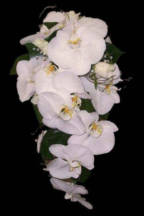 Consiglio per il bouquet !!!! - 2