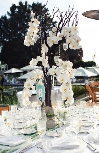 CLUB DELLA SPOSA BIANCA