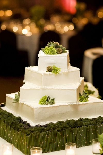 CLUB DELLA SPOSA VERDE