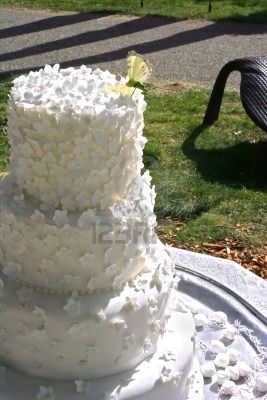 Matrimonio farfalle