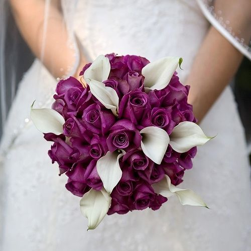 Fiori di stagione