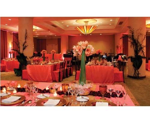 Matrimonio con tema esotico