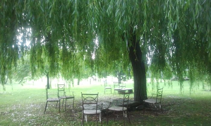 Matrimonio con grandine