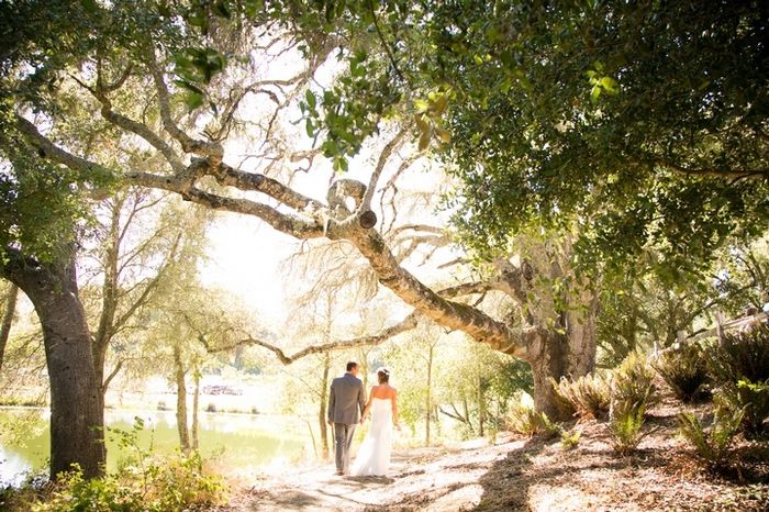 Matrimonio al parco