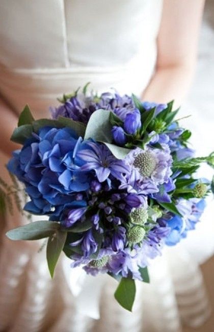 Matrimonio azzurro