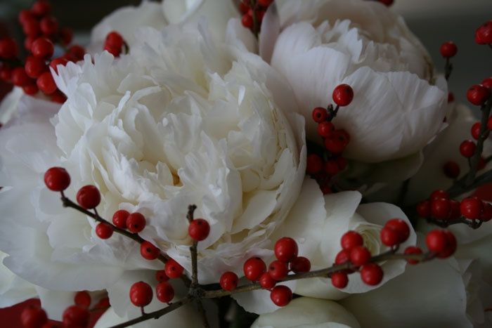 bouquet sposa bacche