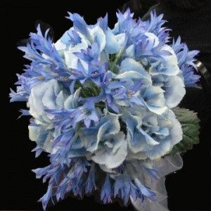 Bouquet sposa