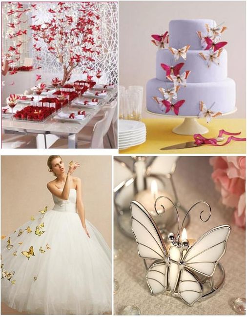 Matrimonio farfalle