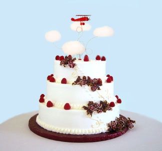 Matrimonio tema aereo