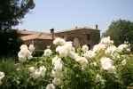 Tenuta Calivello - Catanzaro