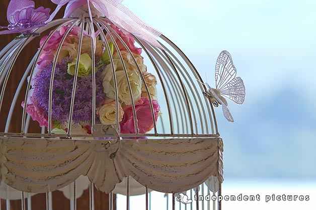 Matrimonio farfalle