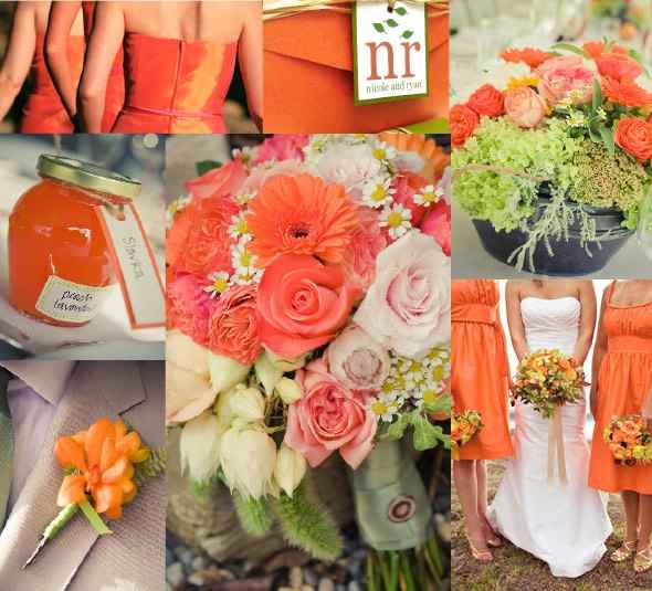 Matrimonio pesca