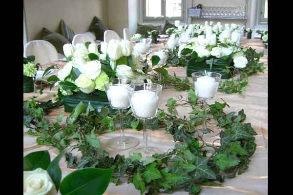Matrimonio edera