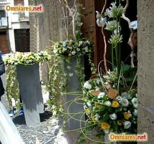 Matrimonio edera
