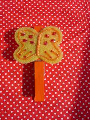 Matrimonio farfalle
