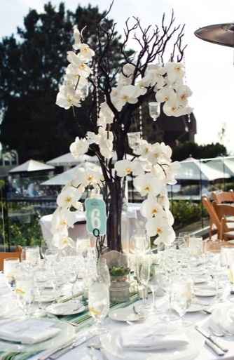 CLUB DELLA SPOSA BIANCA