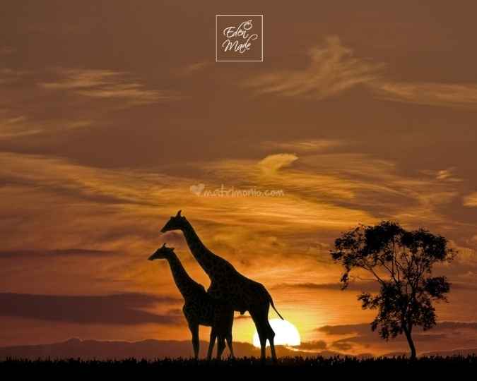 In Namibia: il viaggio su â€œlâ€™Orient Expressâ€ del deserto