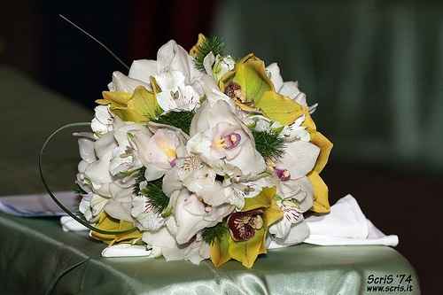 Matrimonio bianco giallo