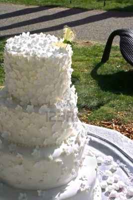 Matrimonio farfalle