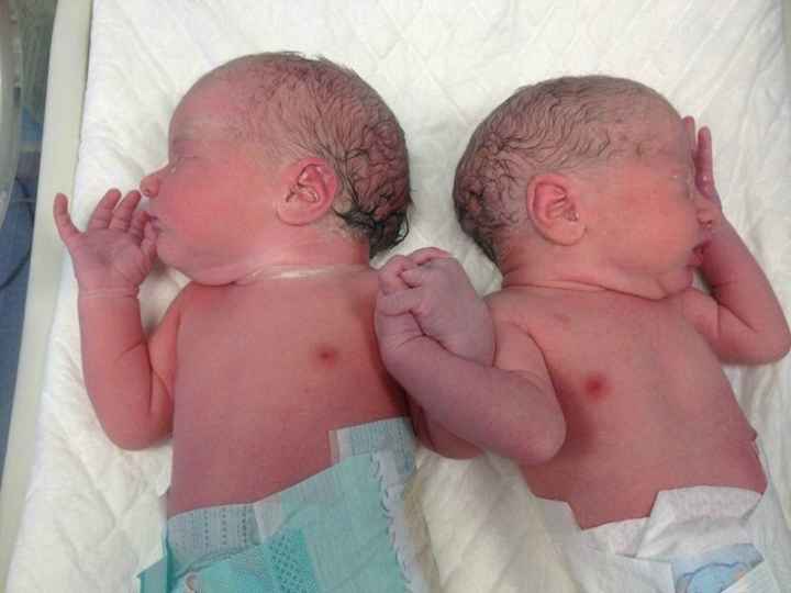 Gemelli