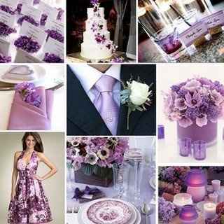 Matrimonio tema lavanda