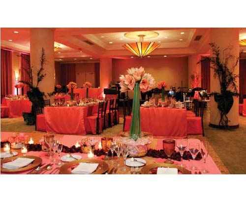 Matrimonio con tema esotico