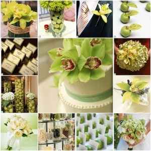 Matrimonio giallo e verde
