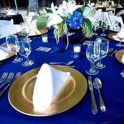 Matrimonio bianco e blu