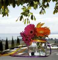 Matrimonio country