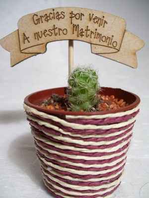 Nozze cactus