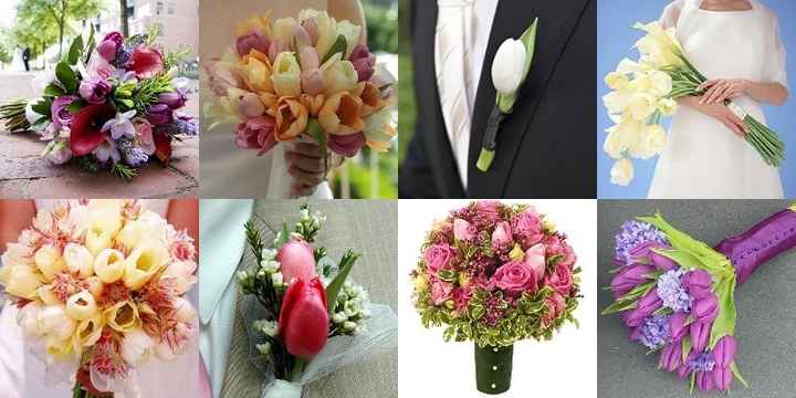 Matrimonio tulipani
