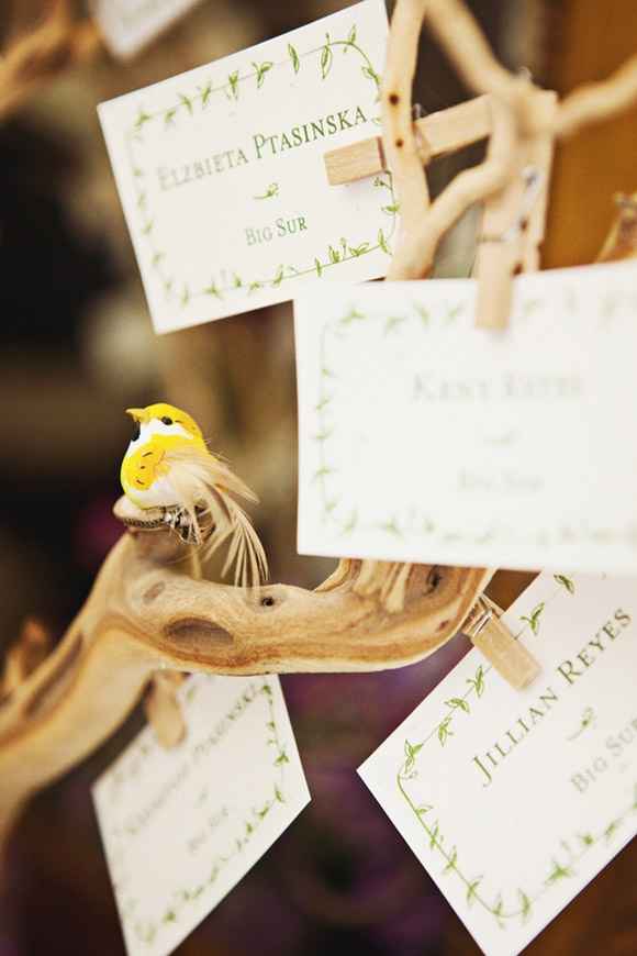 Matrimonio tema passeri
