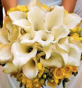 Matrimonio in giallo