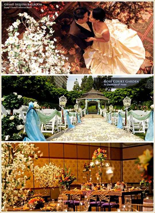 Nozze Disney