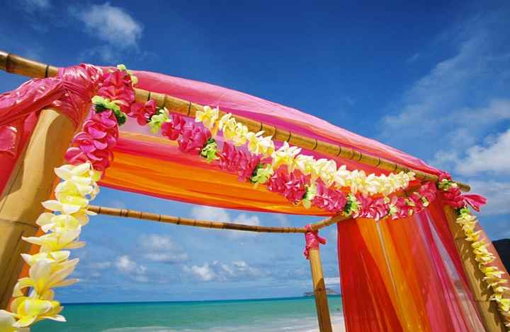 Matrimonio rosa giallo