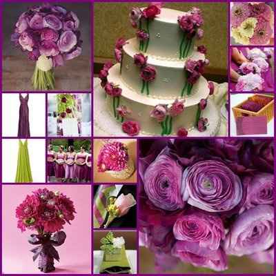 lilac pink