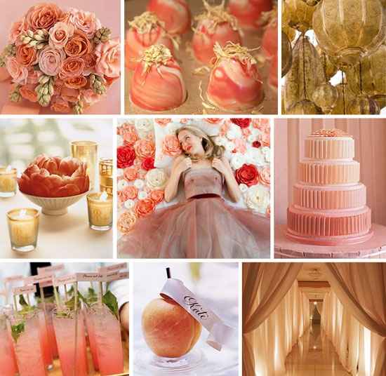 Matrimonio pesca