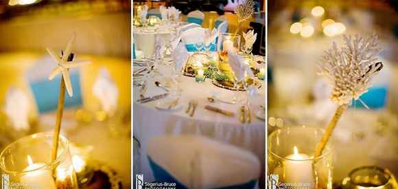 Matrimonio marino