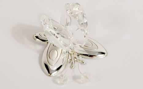 Bomboniere farfalle
